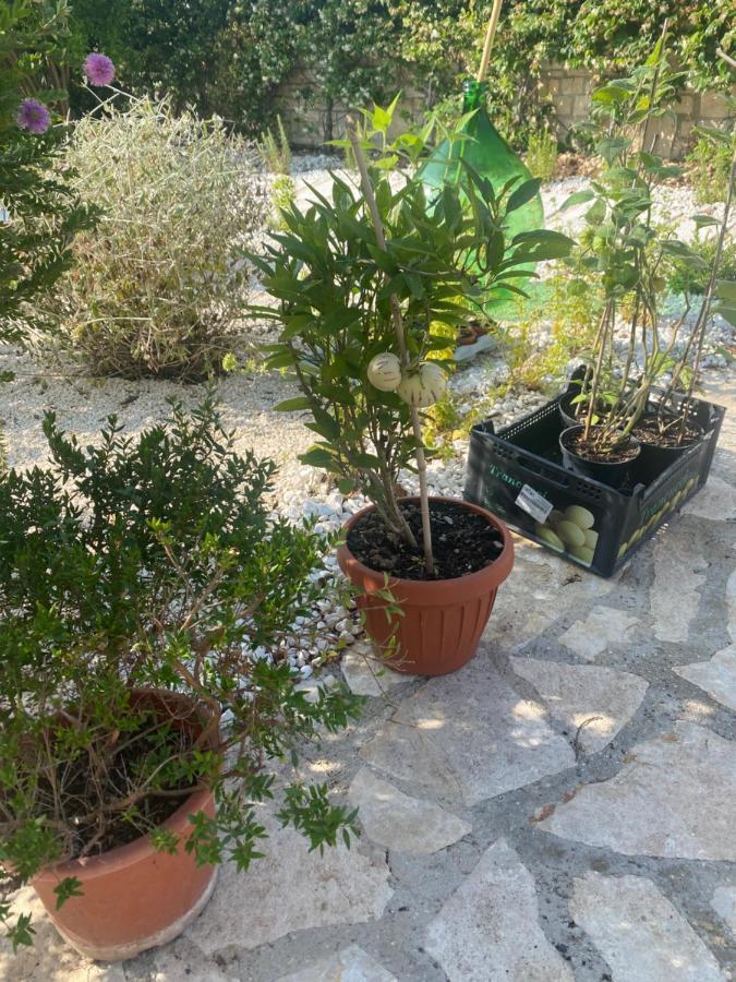 Apulia Casa E Cucina Bed and Breakfast Trani Εξωτερικό φωτογραφία